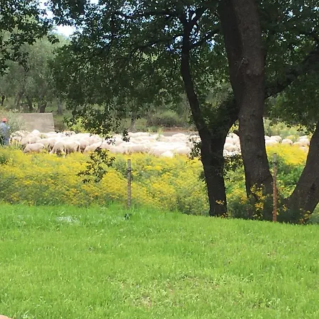 La Gallina Nel Castello לינה וארוחת בוקר