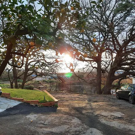 לינה וארוחת בוקר La Gallina Nel Castello אלבניה