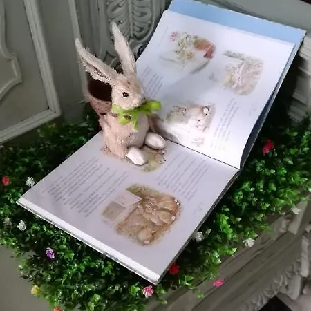 La Gallina Nel Castello אלבניה