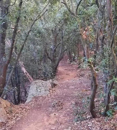 La Gallina Nel Castello לינה וארוחת בוקר אלבניה