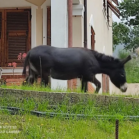 La Gallina Nel Castello Bed & Breakfast