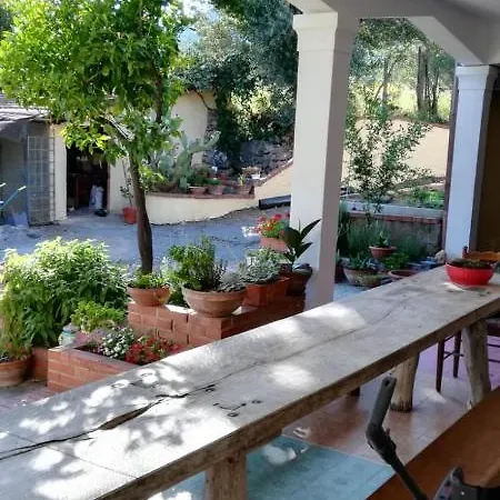 Couette-café La Gallina Nel Castello Citr Oo9002-beb Oo11 2*