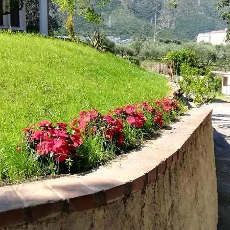 Bed & Breakfast La Gallina Nel Castello Citr Oo9002-beb Oo11 2*