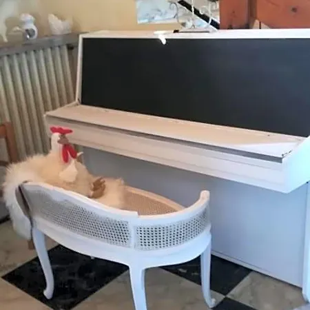 La Gallina Nel Castello 3* 알벤가