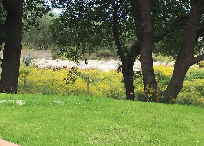 La Gallina Nel Castello Bed & Breakfast