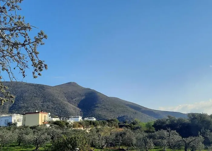 La Gallina Nel Castello Bed & Breakfast