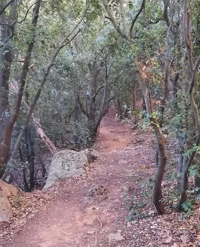 La Gallina Nel Castello Oda ve Kahvaltı Albenga