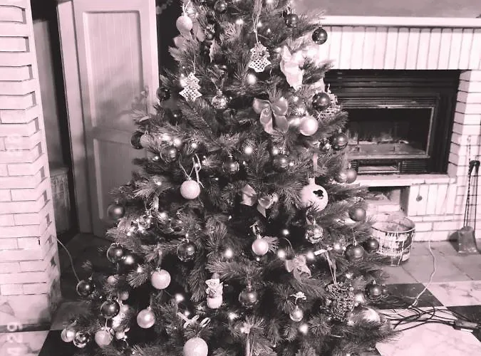 La Gallina Nel Castello Bed and breakfast 3*