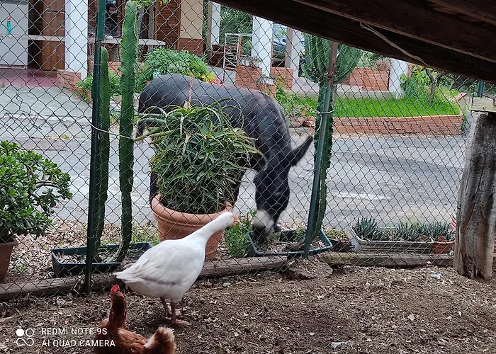 La Gallina Nel Castello Bed and breakfast